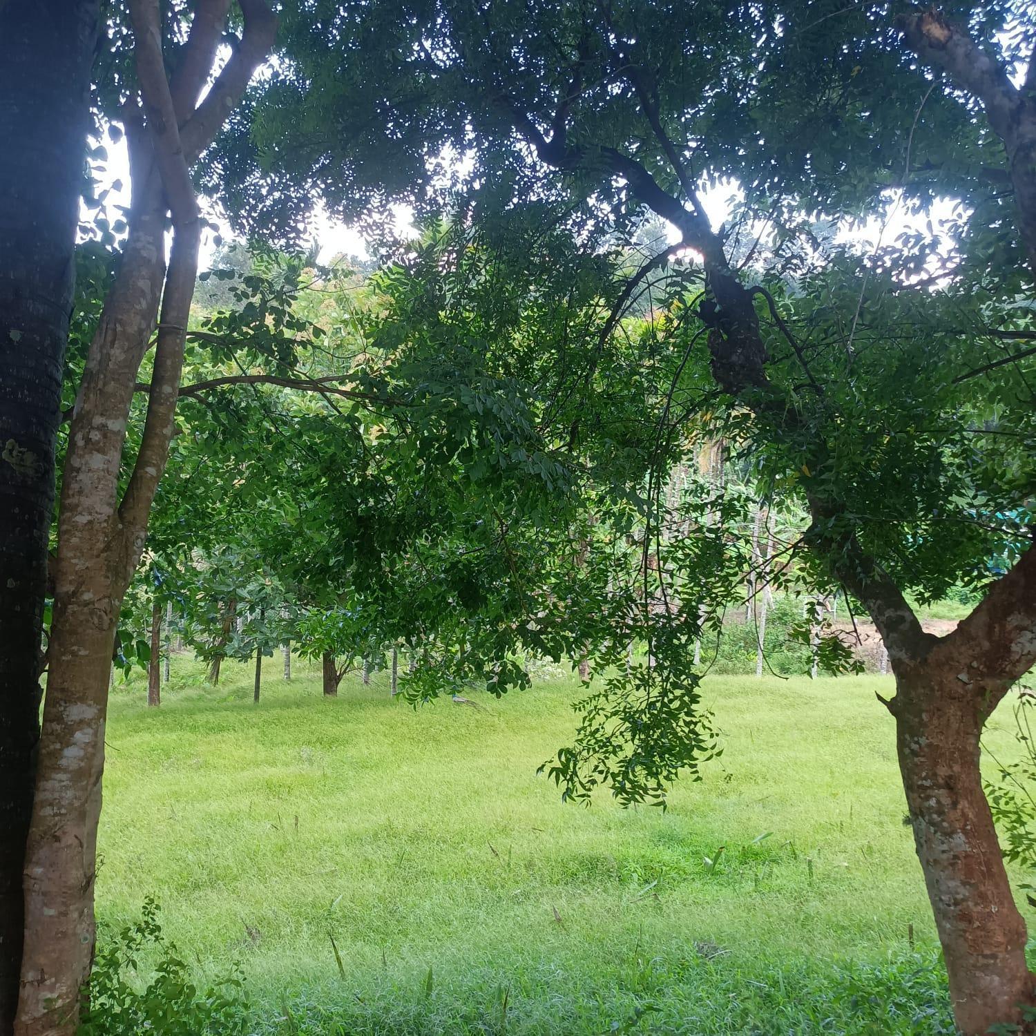 Padavayal Greens Attappādi Exterior photo